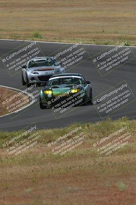 media/May-04-2024-Lucky Dog Racing (Sat) [[d39539b3f3]]/Race Pics/1015am (Turn 2)/